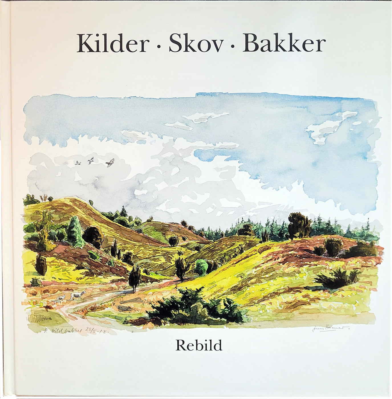 Rebild - Kilder, Skov, Bakker